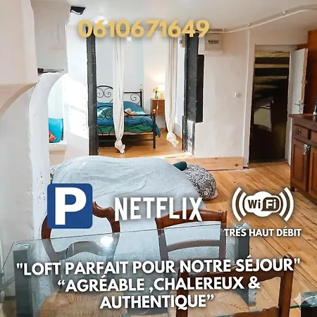 Bed & Breakfast L'hypercentre Loft Atypique Et Historique 5 Pers Cathedrale 3*